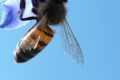 DSCF2790