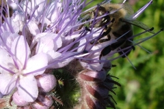 DSCF2805