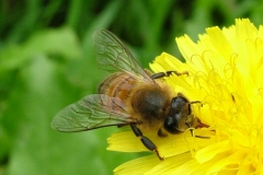 DSCF4840