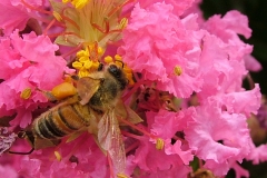 DSCF5193