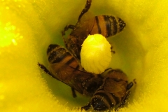 DSCF5378