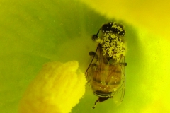 DSCF5432