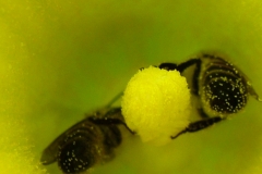 DSCF5496