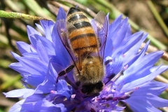 DSCF5714