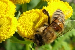 DSCF5828