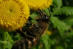 DSCF5835