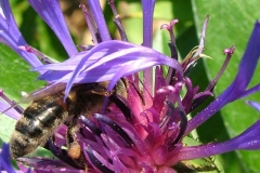 DSCF5877