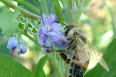 DSCF5906