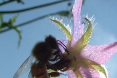 DSCF5979