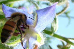 DSCF6014