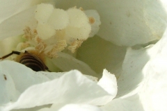 DSCF6854