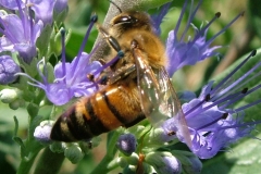 DSCF6961