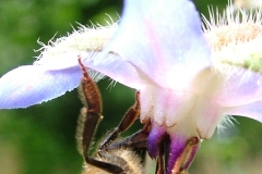 DSCF8879