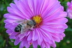 DSCF9904